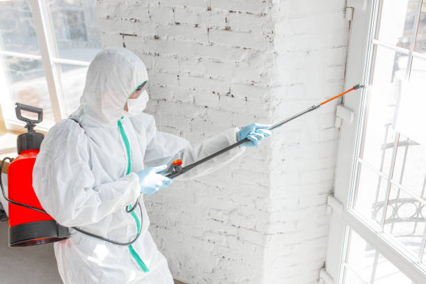 Best Mold Odor Removal Services in Folcroft, PA